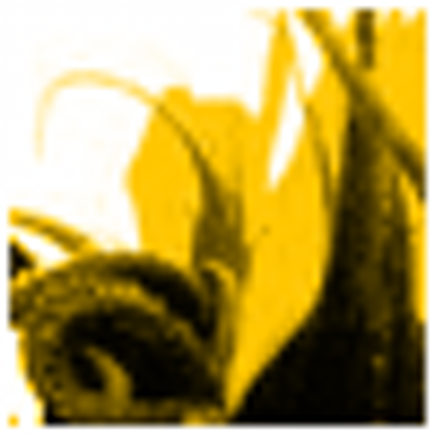 Profile Picture of Loreta Paweski (@LoretaPaweski) on Twitter