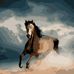 Profile Picture of Michele Ireland (@michele.ireland.507) on Facebook