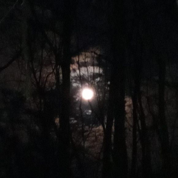 Profile Picture of Valeri Garger (@valgarger) on Poshmark