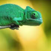 Profile Picture of Joey Sherman (@joeysherman5070) on Youtube