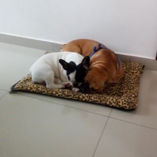 Profile Picture of Miryam Echeverry (@miryam.echeverry.77) on Facebook