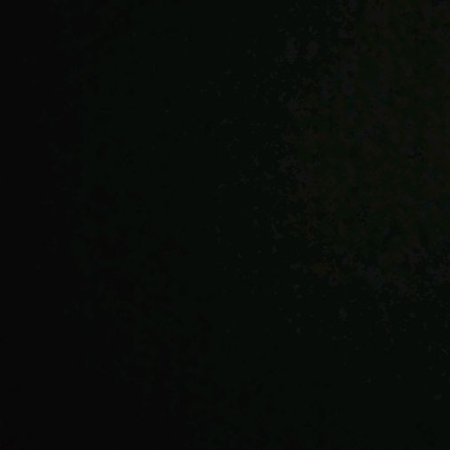 Profile Picture of Richard Launt (@richardlaunt) on Tiktok