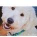 Profile Picture of Toby Albertson (@Toby-Albertson) on Facebook