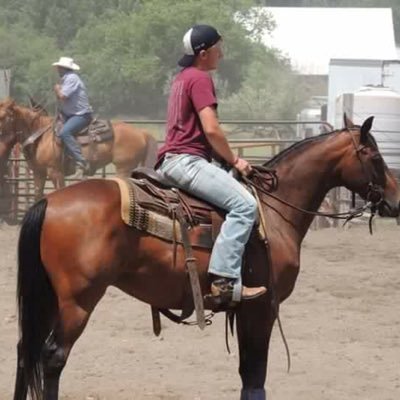 Profile Picture of Bubbles Jones (@67Wyatt) on Twitter