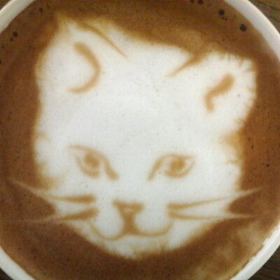 Profile Picture of Yasuko (@happy_yappy) on Twitter