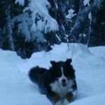 Profile Picture of Jared Henley (@jared.henley.50) on Instagram