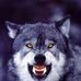 Profile Picture of Thomas Zapp (@thomas.zapp.58) on Facebook