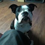 Profile Picture of Jeremy Hungerford (@hungiej) on Instagram