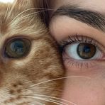 Profile Picture of Fatemeh Ranjbar (@Fatemeh-Ranjbar) on Facebook