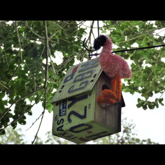 Profile Picture of Celeste Sengelmann (@csengel) on Poshmark