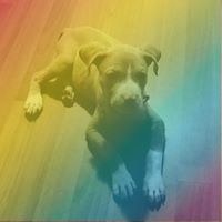 Profile Picture of Bree Washington (@bree-washington-5) on Quora