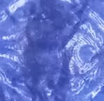 Profile Picture of Carl Ferrer (@Carlferrer0) on Facebook