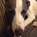 Profile Picture of Keith Travers (@Keith-Travers) on Facebook