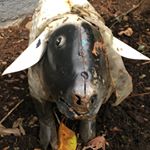 Profile Picture of Mattus (@mattus_b) on Instagram
