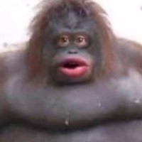 Profile Picture of Chloe Schwartz (@chloe-schwartz-12) on Quora