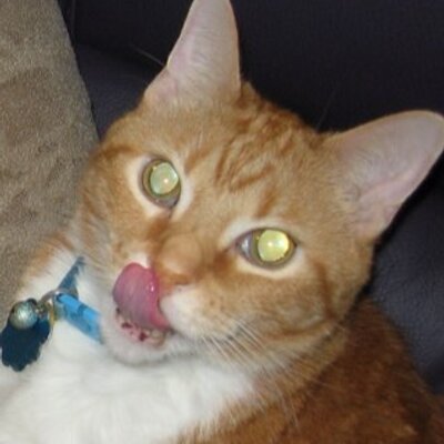 Profile Picture of David Spohr (@dcspohr) on Twitter