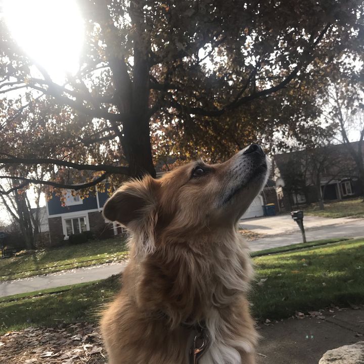 Profile Picture of user573269168141 (@gridout) on Tiktok