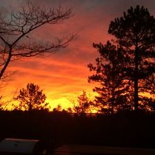 Profile Picture of Curt Pratt (@Curtpratt2) on Twitter