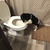 Profile Picture of Erik Bundy (@eriksgamingpage) on Youtube