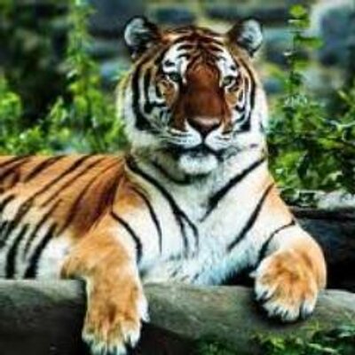 Profile Picture of Eric Stork (@EricStork02) on Twitter