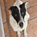 Profile Picture of Itzel Mu?oz (@Libertad y alegr?a) on Flickr