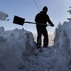 Profile Picture of Richard Bartolotta (@bartfrombuffalo) on Twitter