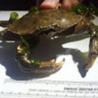 Profile Picture of Daniel Wonnacott (@daniel-wonnacott-7) on Quora