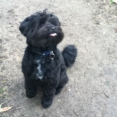 Profile Picture of Joshua.garside (@GarsideTracy) on Twitter