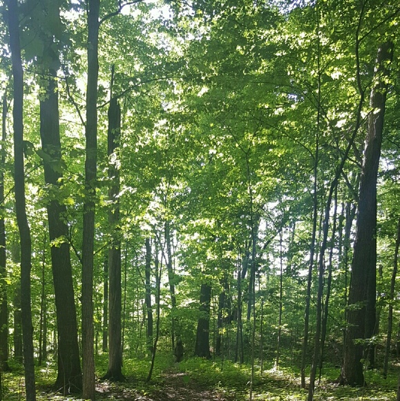 Profile Picture of Dawn Weyer (@dawnweyer) on Poshmark