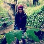 Profile Picture of Rushal Sedlemyer (@sedlemyer) on Instagram