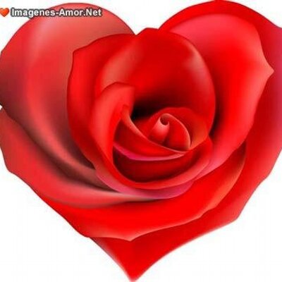 Profile Picture of Yanina Gonzales Sobe (@yaninagonzaless) on Twitter
