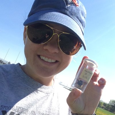Profile Picture of Hayley Tompkins (@wildforbees) on Twitter