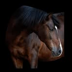 Profile Picture of Erwin Hauer (@Erwin-Hauer) on Facebook