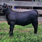 Profile Picture of Roberto cabrera Anderson (@cabrera8191) on Instagram