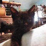 Profile Picture of Ajá (@nicolas.dcn) on Instagram