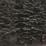 Profile Picture of justintraceyyy (@justintraceyyy) on Instagram