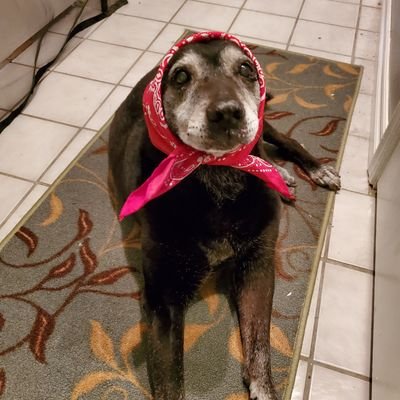 Profile Picture of Jana Key (@JanaKey42940680) on Twitter