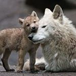 Profile Picture of Jasonfillion73 (@jasonfillion73) on Instagram