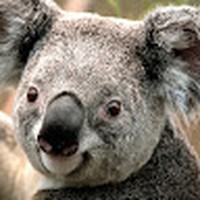 Profile Picture of John Trieu (@john-trieu-10) on Quora