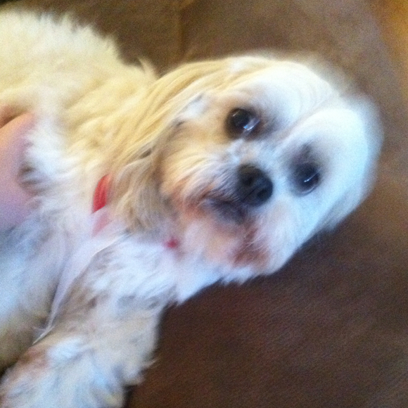 Profile Picture of Debra Bates (@debi96) on Poshmark