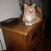 Profile Picture of Howard Emery (@howard.emery.7165) on Facebook