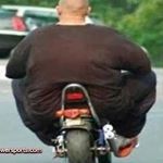 William Gerhardt - Instagram Profile Picture of William Gerhardt (@vivienand) on Instagram