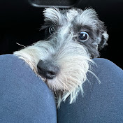 Profile Picture of Misty Ingalls (@Mingalls983) on Youtube