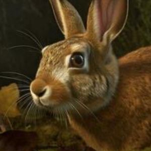 Profile Picture of Andrew Champion (@andrew.champion0) on Tiktok