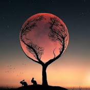 Profile Picture of Tommy McCall (@TommyMcCall00) on Youtube