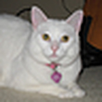 Profile Picture of Janet Turner (@janetmarie) on Flickr