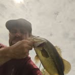 Profile Picture of James Fouse (@James-Fouse) on Facebook