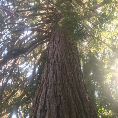 Profile Picture of Dorothee Chateauvieux (@DorotheeChatea1) on Twitter