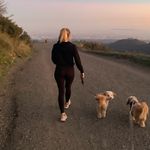 Profile Picture of Jodi Bowers (@hiddenhems_jb) on Instagram
