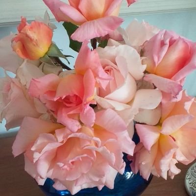 Profile Picture of Betsy Hansen (@BetsyLita2019) on Twitter